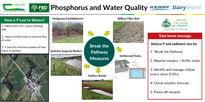 Phosphorus and water quality - details in text below