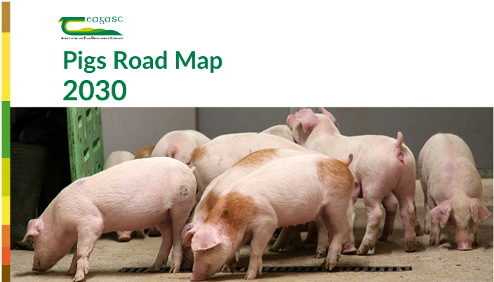 Pig Road Map 2030