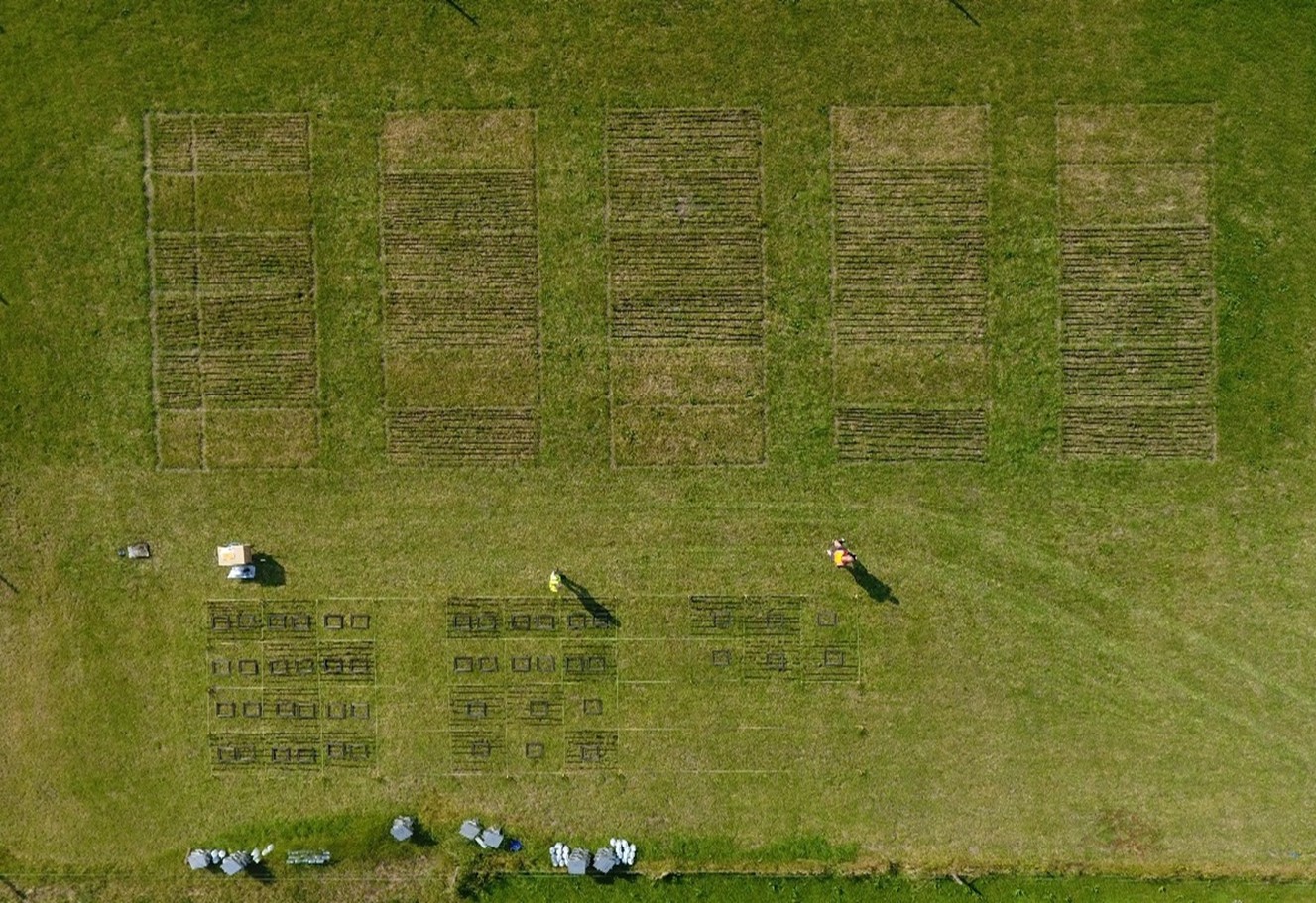 Triple A: Abating Ammonia Emissions from Agriculture