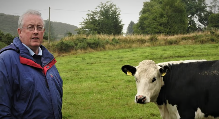 Proinnsias Creedon with one of his HEX heifers