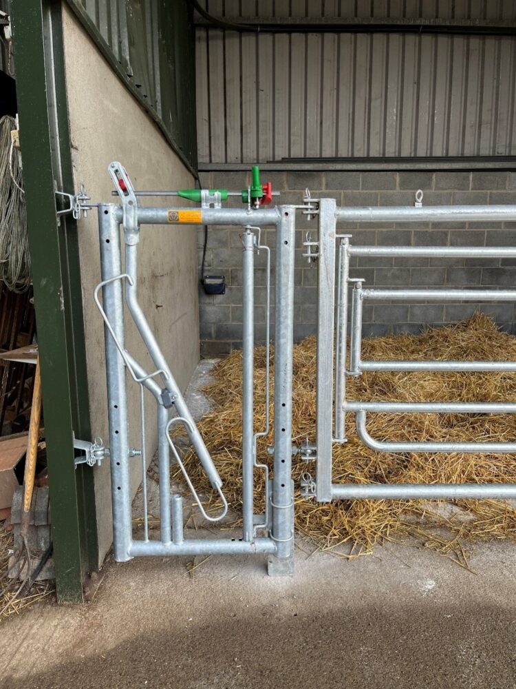Self-locking head gate