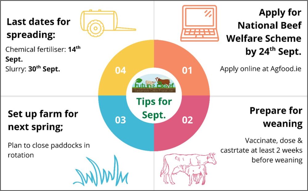 Top tips for September graphic