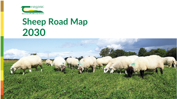 Sheep Road Map 2030