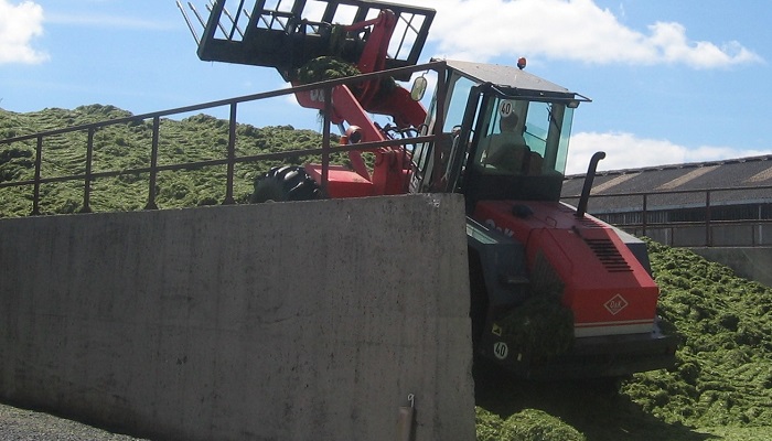 Silage: Get it right on dairy farms