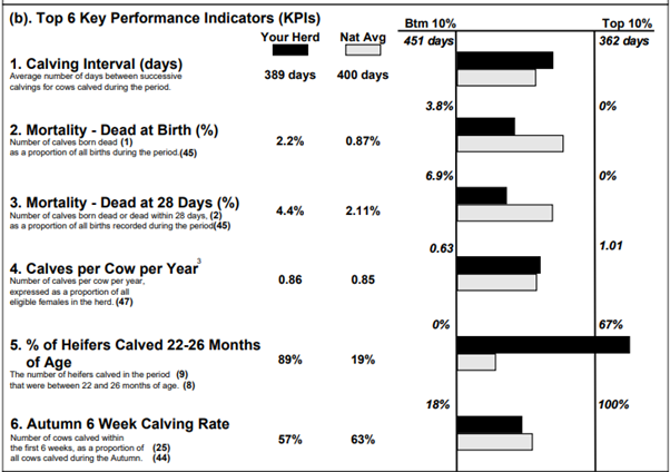 Beef calving report from ICBF outlining KPI's as described in text