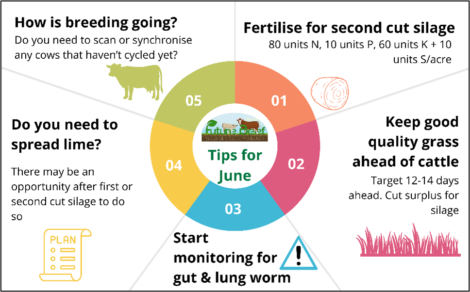 Top tips for June - spread fertiliser for second cut silage, graze grass at 1200-1400 kg DM/ha to maintain quality, monitor for lung and gut worms, do you need to spread lime? and how is breeding going?