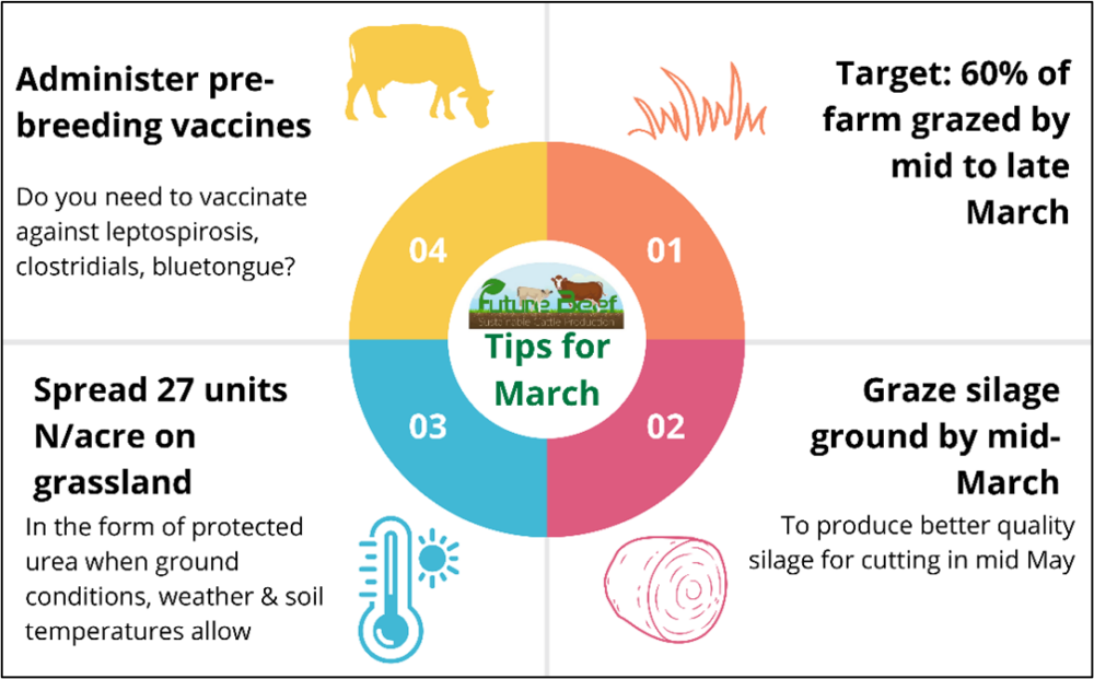 Top tips for March - start grazing, spread fertiliser, administer pre-breeding vaccines, graze silage ground