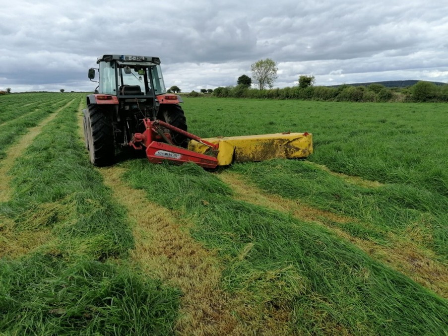 Tractor with mower attached cutting grass in silage field
