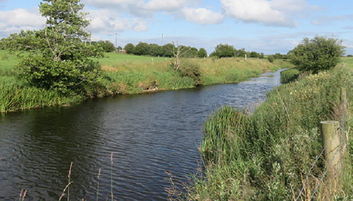 Opportunities exist to improve water quality