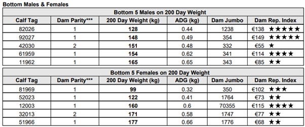Weaning performance report showing bottom performers and their dam details