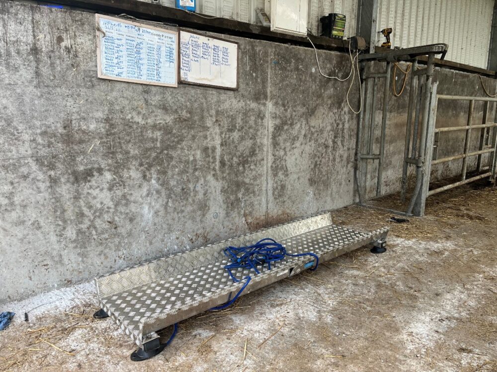Weighing scales in shed