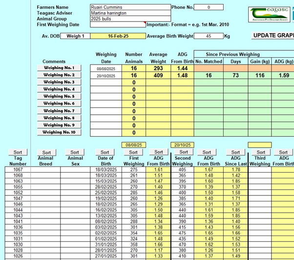 Individual animal weights of bulls on Ruairi's farm showing gains as described in text