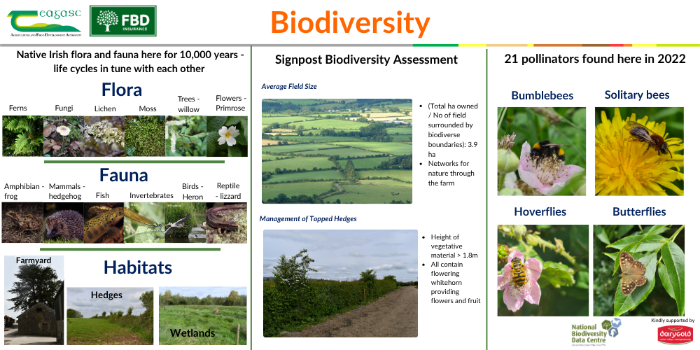 Biodiversity board - details in text below