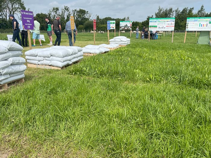 Concentrate differences per lamb from diverse swards