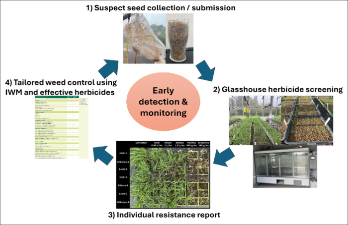 early detection and monitoring, details in text