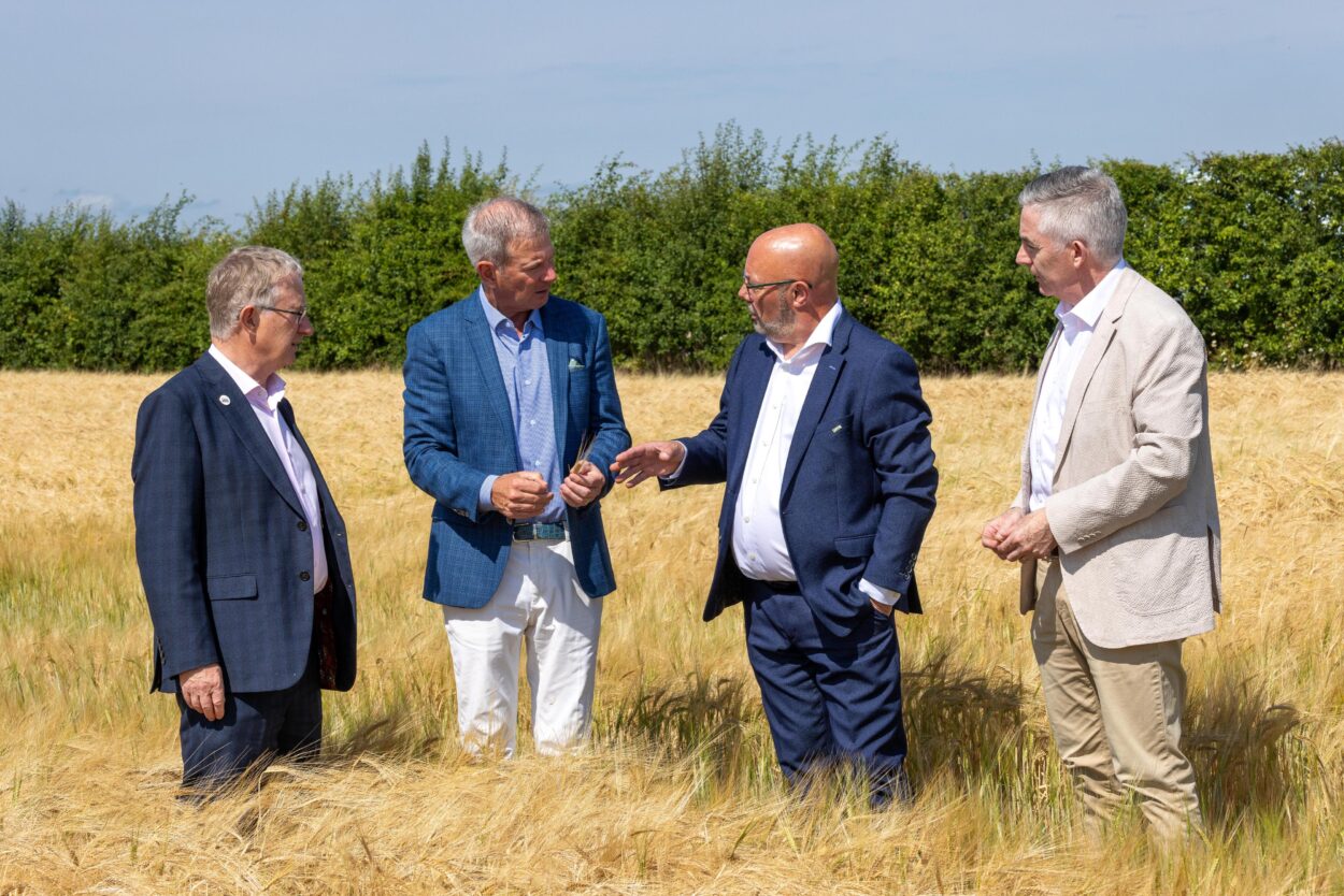 Cover image for US Ambassador visits Teagasc Oak Park article
