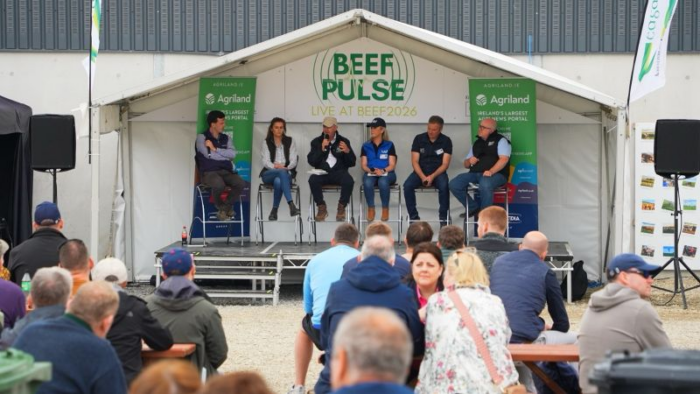 Driving Sustainable Calf to Beef Systems at the Beef Pulse Forum