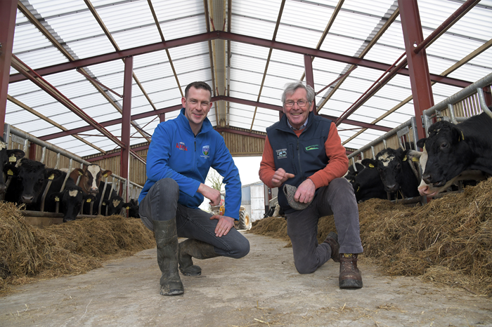 Labour efficient and profitable – the Smyths’ dairy-beef system