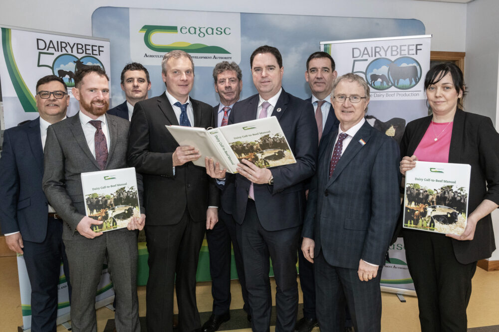 New Dairy Calf-to-Beef Manual Launched