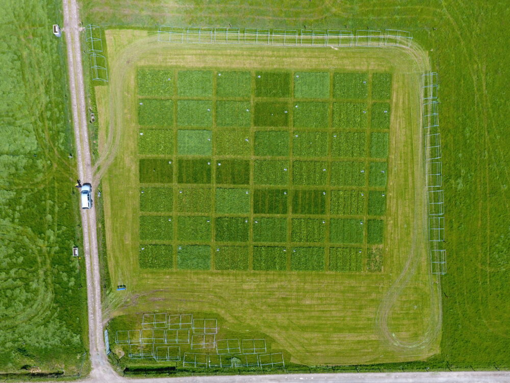 Ariel view of the plots
