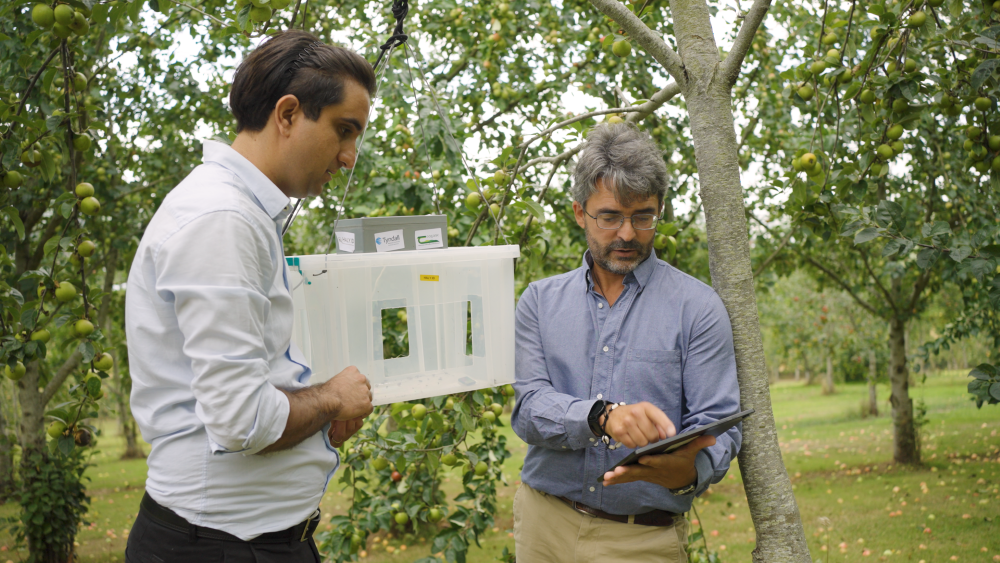 Brendan O'Flynn and Amin Kangar, Tyndall UCC