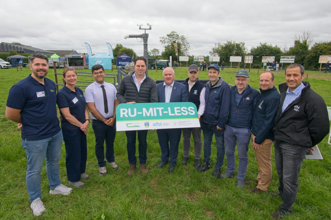 Cover image for RU-MIT-LESS Research Project to Investigate Lifetime Potential of Methane-Reducing Feed Additives in Beef Cattle article
