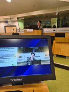 Anne Kinsella giving a speech.