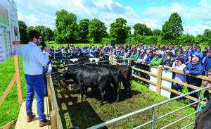 A person holding a microphone giving a talk to a crowd of people at the Ballyvadin open day. 