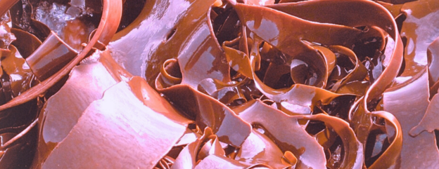 Cover image representing 