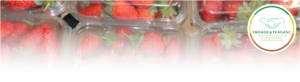 Plastic container in which fruits can be bought in from supermarkets