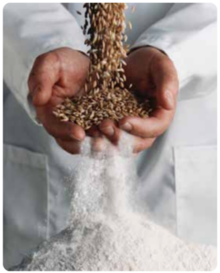 Grain falling into hands from the top, and transforming into flour