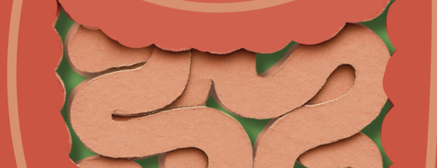 Cover image representing 