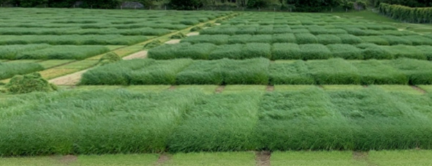 Cover image representing 