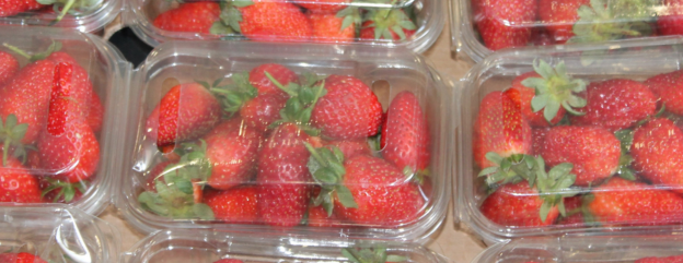 Cover image representing 