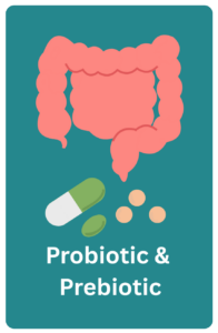 An image of a gut, with prebiotics and probiotics medications in a form of an oral intake underneath.