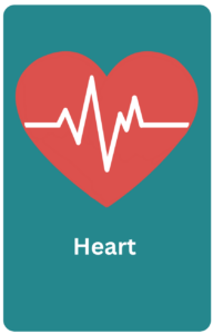 An image of a illustrated heart with the electrocardiogram in the middle, and the text 'Heart' underneath.