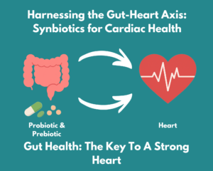 An illustration of the gut on the left, with probiotics and prebiotics underneath. Two arrows from the gut pointing towards the heart on the right with an electrocardiogram in the middle and text 'Heart' underneath. Above both it reads ' Harnessing the Gut-Heart Axis: Synbiotics for Cardiac Health.' and underneath the two illustrations it reads 'Gut Health: The Key To A Strong Heart'.
