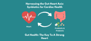 An illustration of the gut on the left, with probiotics and prebiotics underneath. Two arrows from the gut pointing towards the heart on the right with an electrocardiogram in the middle and text 'Heart' underneath. Above both it reads ' Harnessing the Gut-Heart Axis: Synbiotics for Cardiac Health.' and underneath the two illustrations it reads 'Gut Health: The Key To A Strong Heart'.