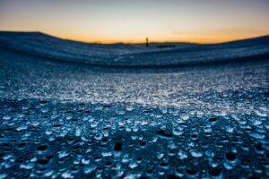 Morning dewdrops on both the top of the mesh of an insect-proof cage in a winter barley field