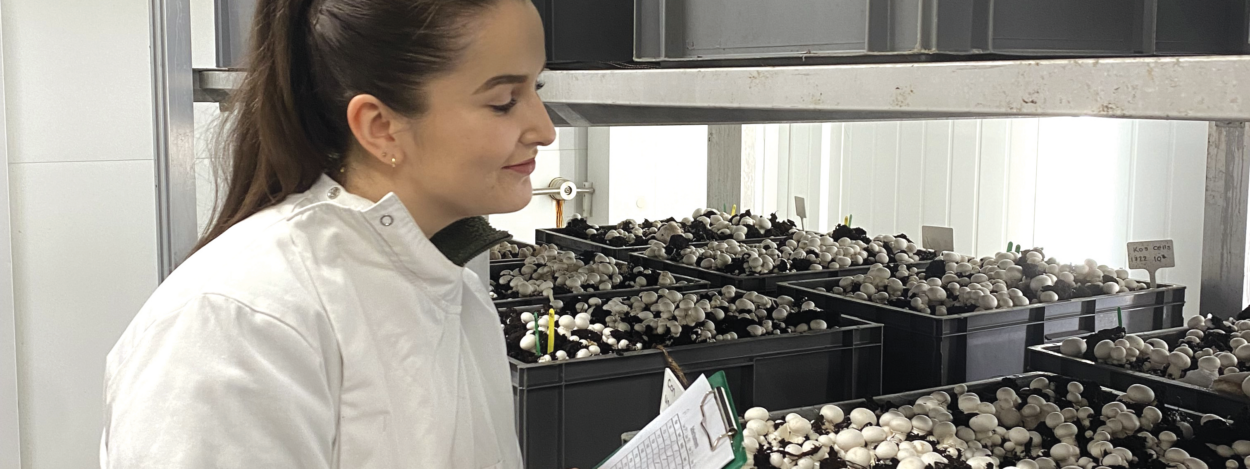 Cover image representing Joy Clarke tending to mushrooms