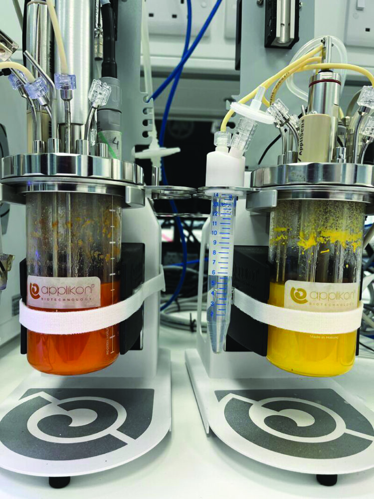 Precision fermentation chambers in the laboratory