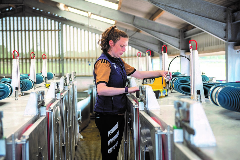A female sheep technician measures greenhouse gas emissions from sheep in an enclosed pen