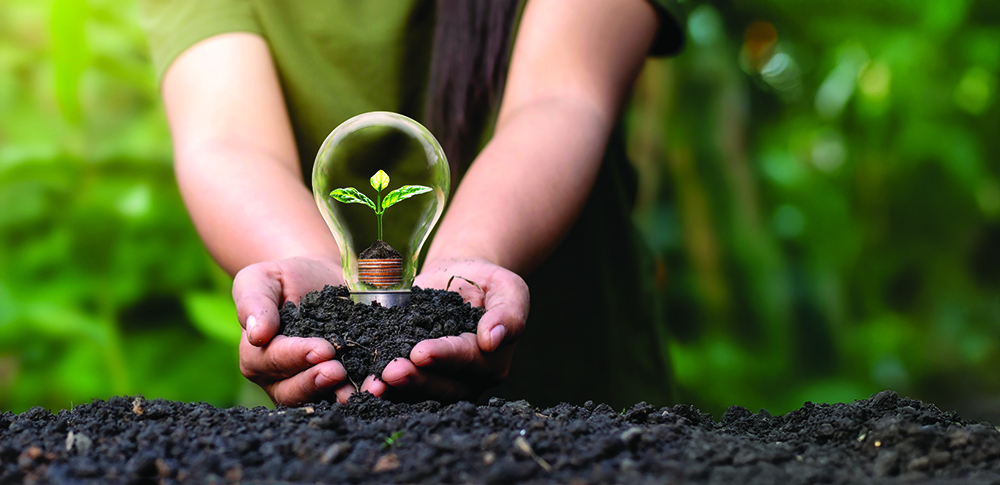 A small tree growing on a silver coin and energy-saving light bulbs, an energy-saving concept and an environmentally friendly clean energy