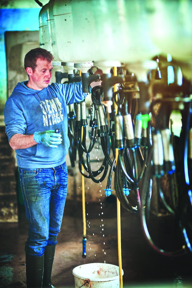 Shot of a farmer preparing the cow milking equipment on a dairy farm