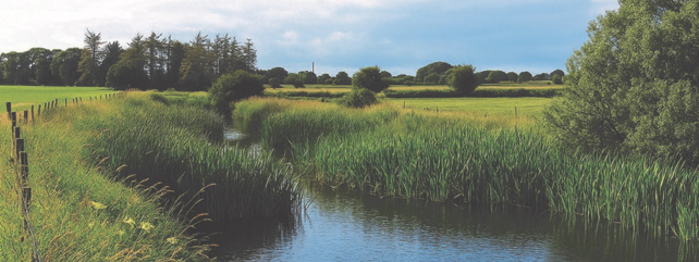 Climate, water quality & sustainability