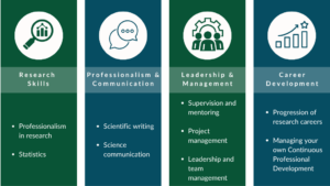 infographic showing professional skill categories Research Skills, Professionalism & Communication, Leadership & Management, and Career Development