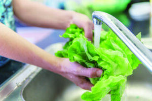 Lettuce being washed.