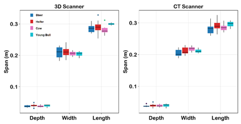 Two side-by-side box plots compare span measurements (depth, width, length) for Steer, Heifer, Cow, and Young Bull using 3D Scanner and CT Scanner methods.