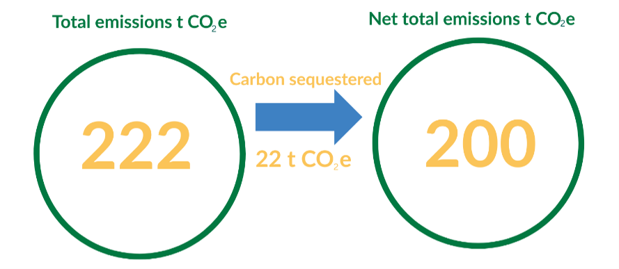 Net total emissions on the farm of Ruairi Cummins in 2025 showing total emissions and net total emissions of CO2e, highlighting carbon sequestration impact. 22 t CO2e Carbon sequestered in 2025
