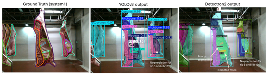 Photograph showing three hanging meat cuts with overlaid coloured segmentation masks and labels indicating different anatomical parts such as Ribeye. The panels illustrate stages of a computer vision model's prediction accuracy, highlighting correct identifications with confidence scores and areas of poor prediction marked in purple.